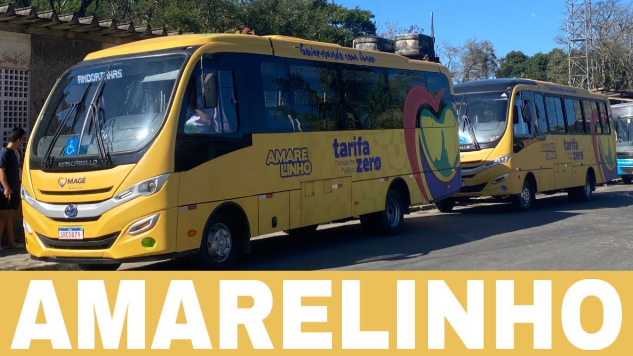 Os Amarelinhos de Magé - eu fui conferir #2