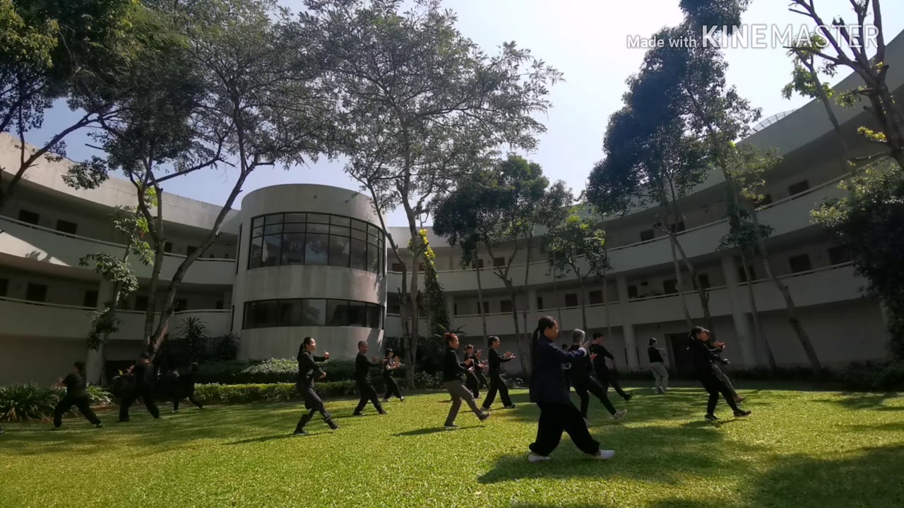 Wudang Traditional Taijiquan 28 form