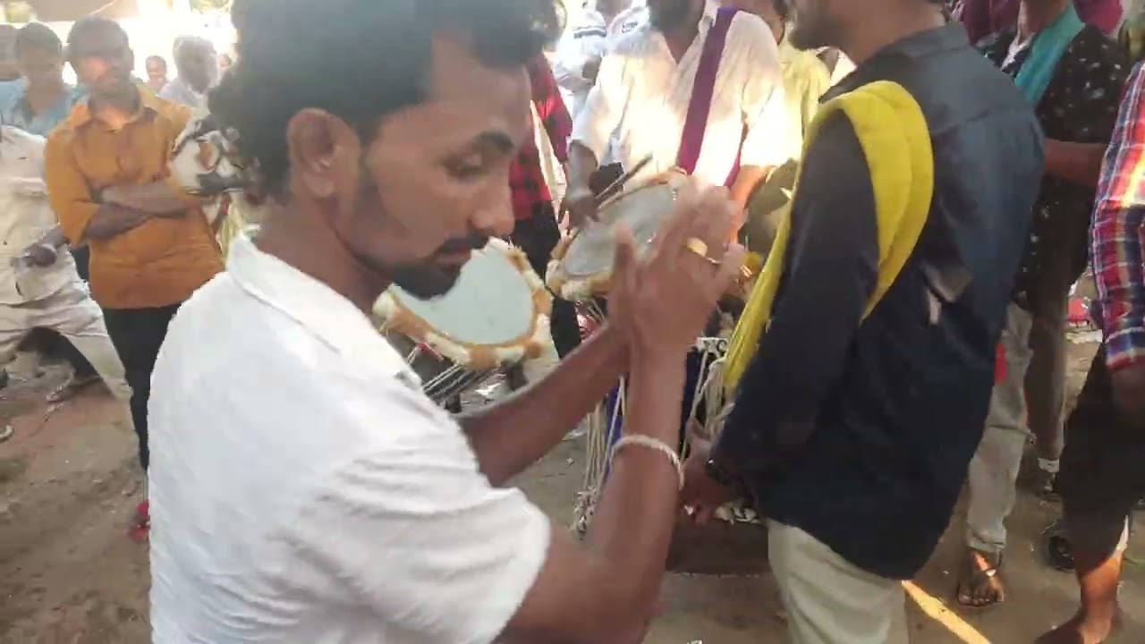Vizag tiger dance dola tigers 