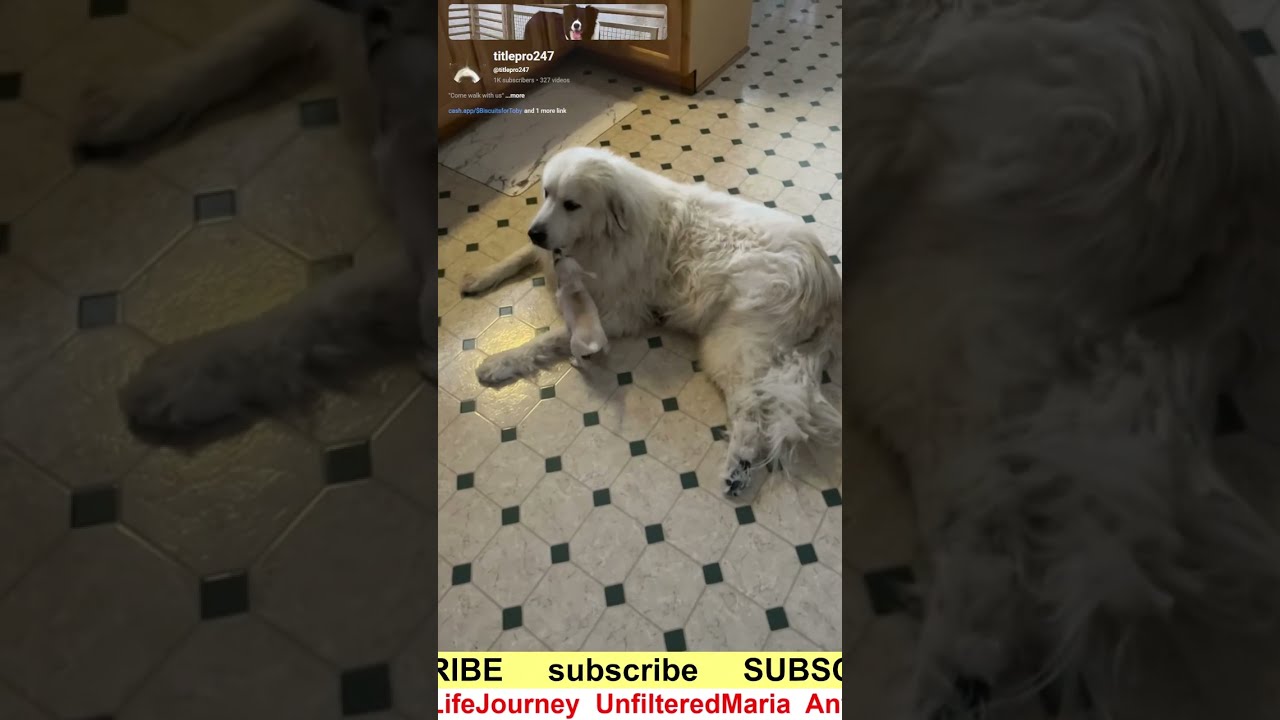 Night Shift: Norbert is at it again!