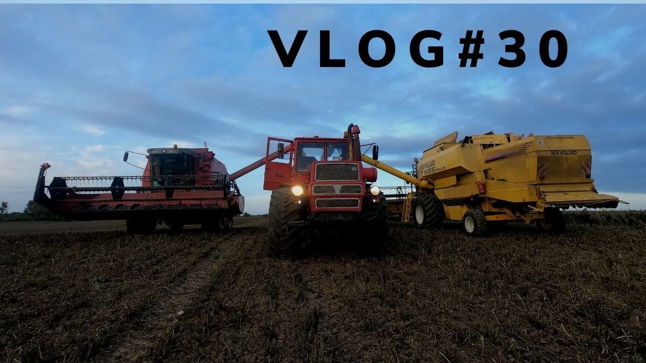PAŹDZIERNIKOWE KOSZENIE BOBIKU 2021 NEW HOLLAND TX68 PLUS & MASSEY FERGUSON 40 & T150 K GR RUTECKI
