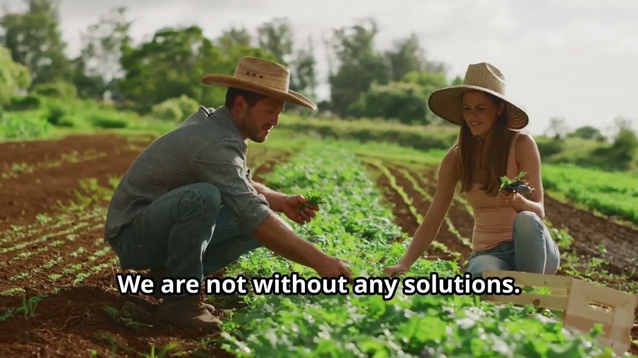 Climate Impacts Leads to Global Food Security Issue: Sustainable Paths and Resilient Food System