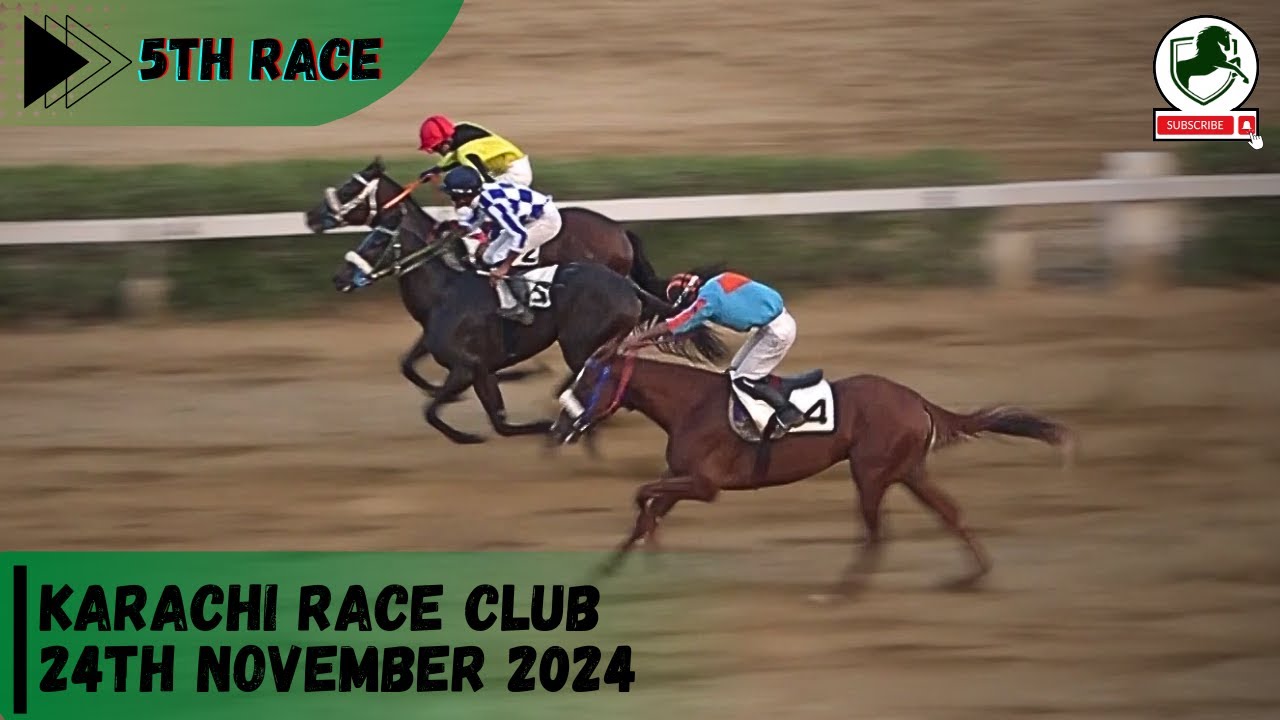 KRC | 5th Race of 24th November 2024 | WINNER TREVOR