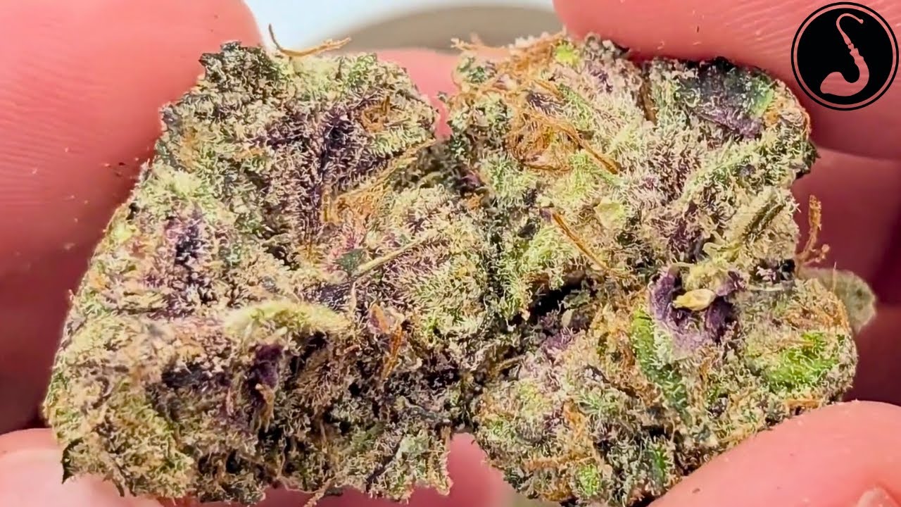 Glitter Bomb Strain AAA THCa Flower