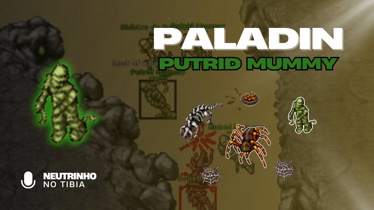 TIBIA - PUTRID MUMMY | PALADIN LEVEL 100+
