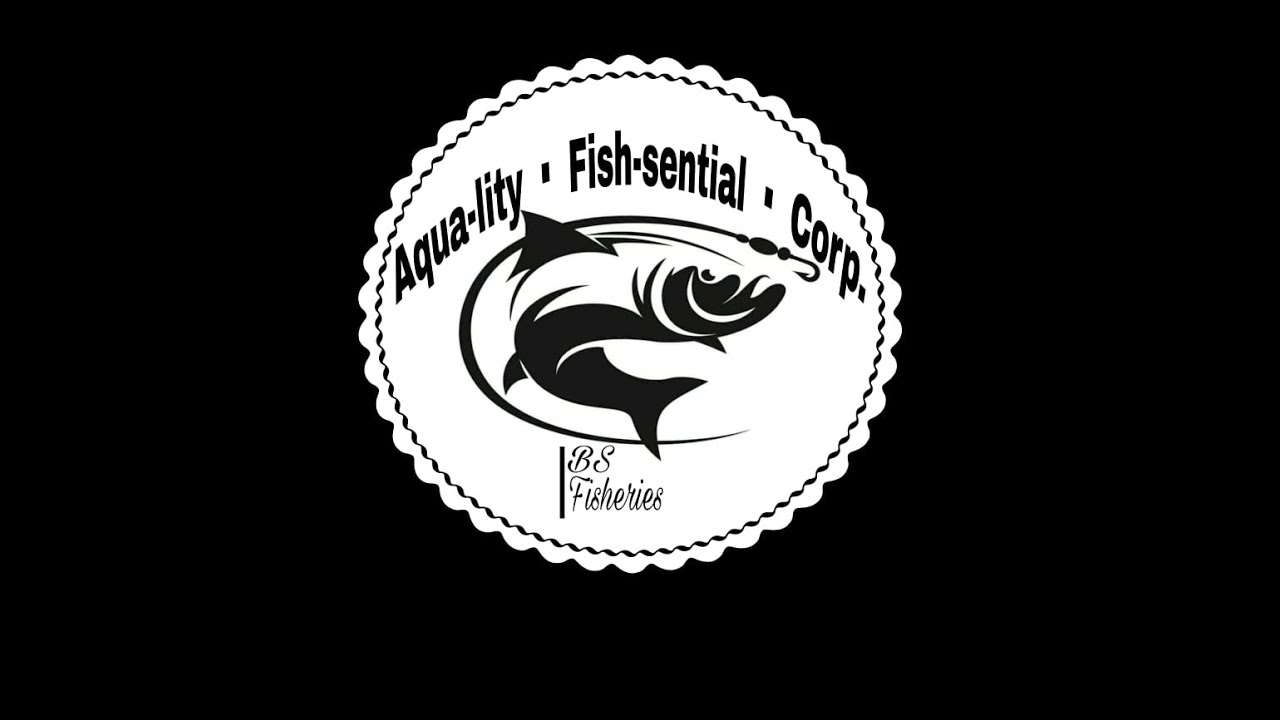 BSFisheries|| Fishball Pitch Video 