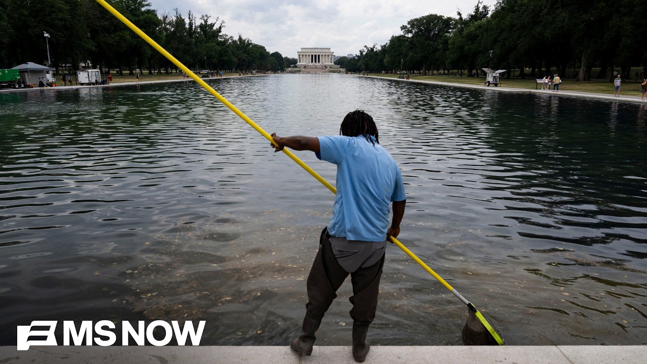 LIVE: See Trump&rsquo;s Reflecting Pool DISASTER as crews race to fix MESS