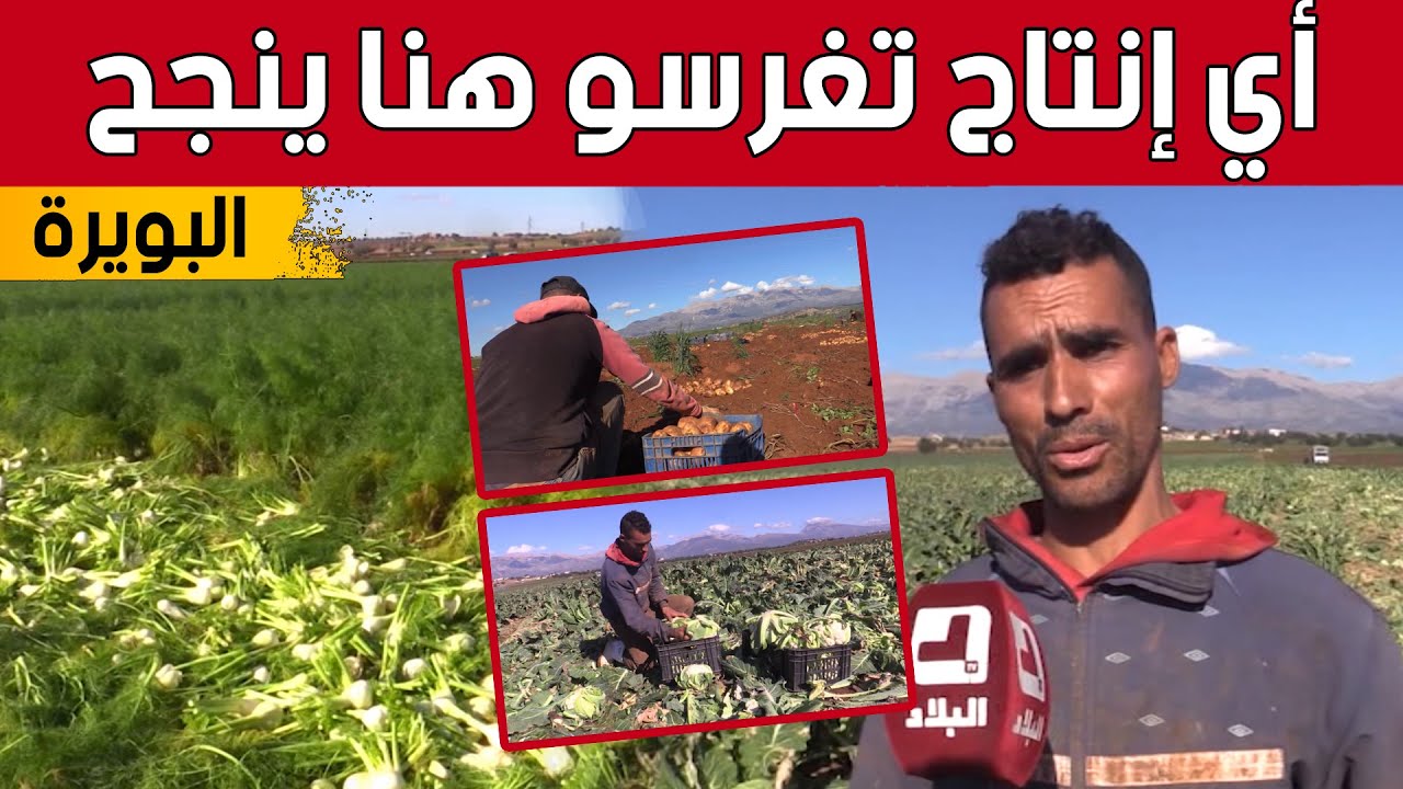 إنتاج وفير تحققه 