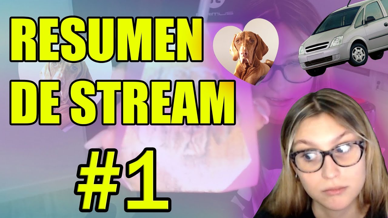 RESUMEN STREAM #1