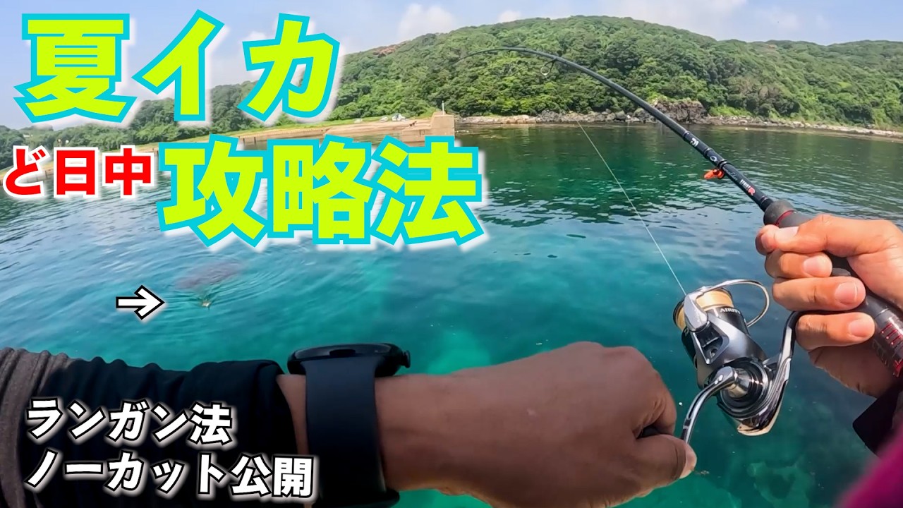 夏エギング捕獲手順！夏イカ釣るまでノーカットで見せる日中ランガン攻略法
