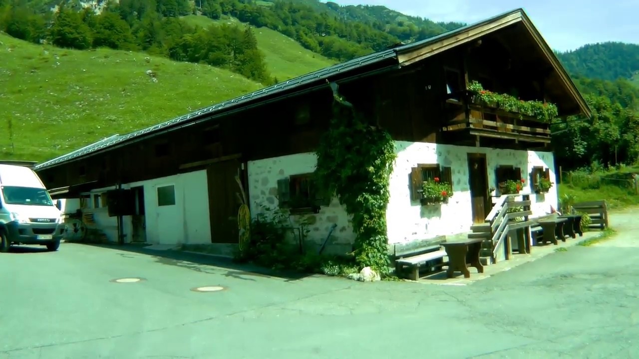 Wir fahren zur Griesner Alm!