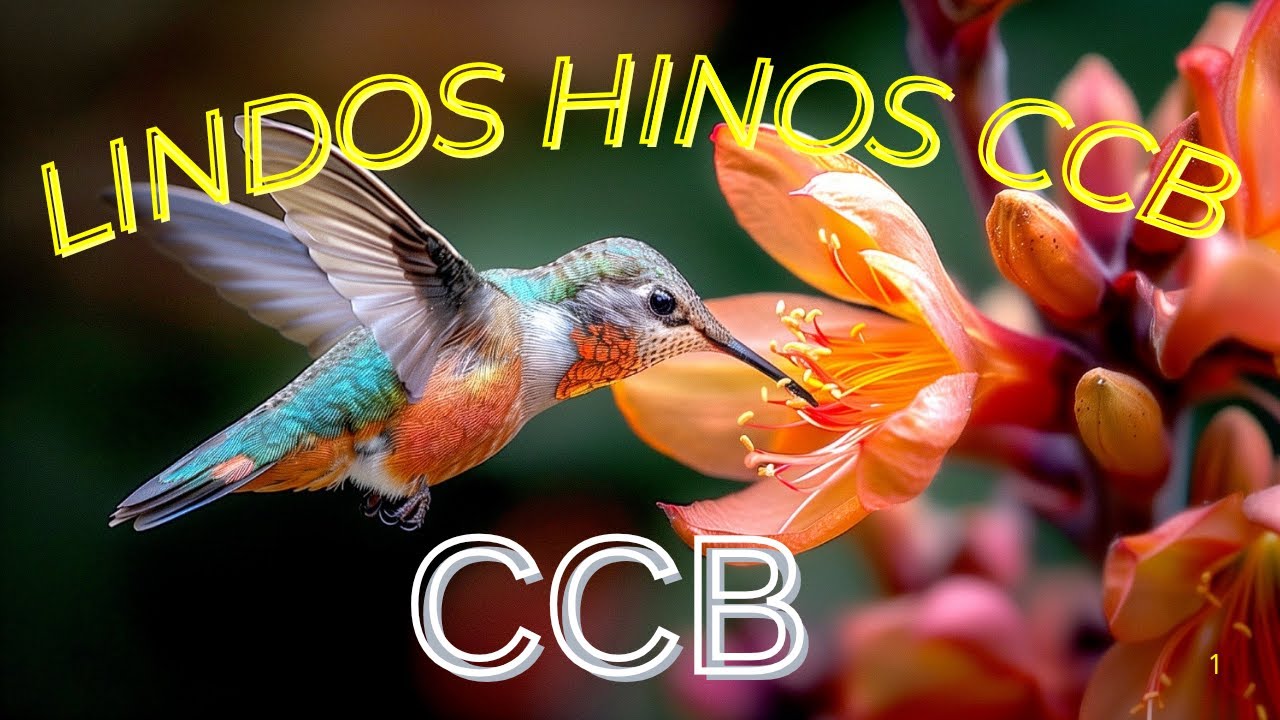 LINDÍSSIMOS HINOS CCB. LINDOS HINOS 278,401,17,204,02,332,312,42,15,63,69,117,365,412,58...