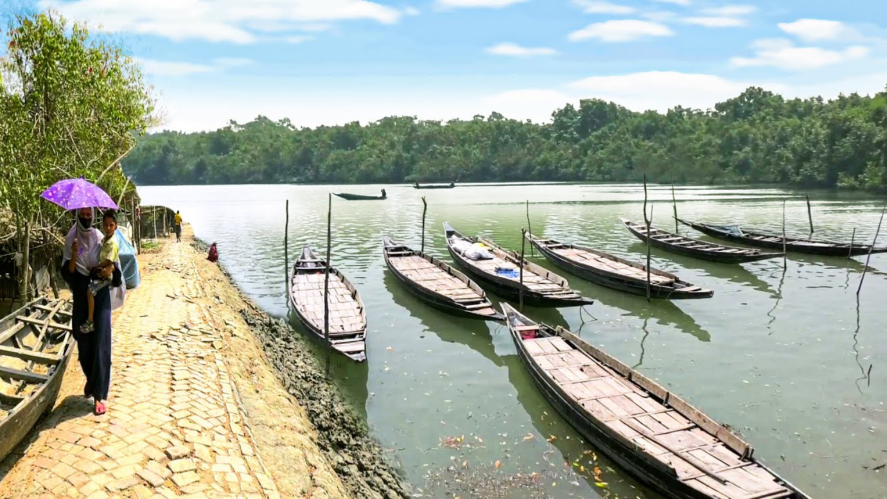 সুন্দরবনের খোলপেটুয়া নদী ও নদীপাড়ে স্নিগ্ধ গ্রামীণ জীবন || Panorama Documentary