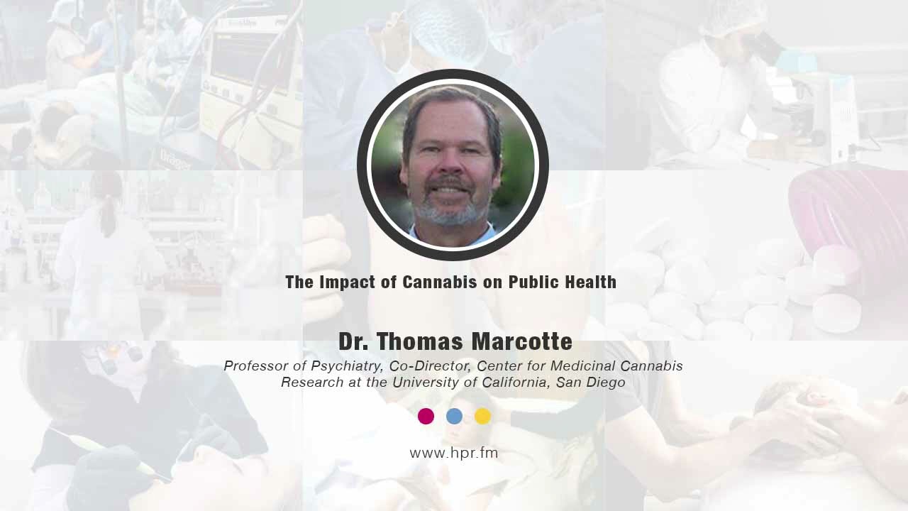 The Impact of Cannabis on Public Health