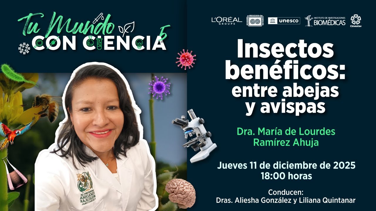 Insectos benéficos: entre abejas y avispas