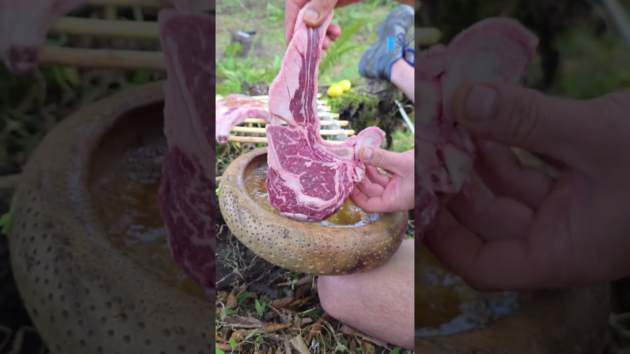 .Cooking Steak Over Open Fire 🔥🥩 | Ramsar Nature Chef#