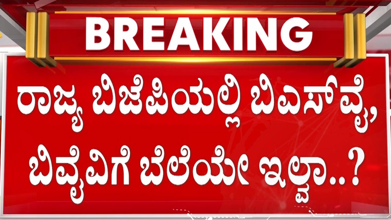 ಬಿಎಸ್‌ವೈ, ಬಿವೈವಿಗೆ ಕೊಕ್ ಕೊಟ್ಟೇಬಿಟ್ರಾ ಕಾರ್ಯಕರ್ತರು..? |  Guarantee News