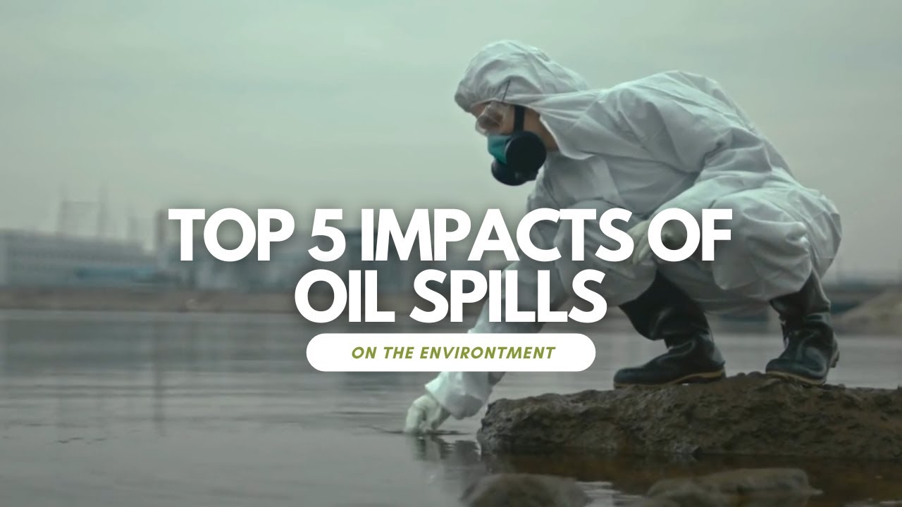 Top 5 Environmental Impacts of Oil Spills! 😱 #globalnews   #environmentalscience #climatechange