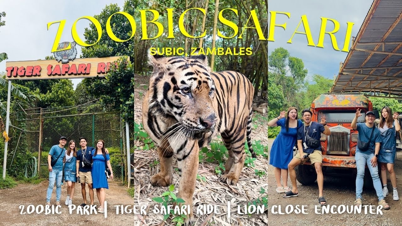 ZAMBALES VLOG  | Subic Safari | Zoobic Safari 🦚 | Tiger Safari Ride 🦁 | DJI Osmo Pocket 3 Vlog Test