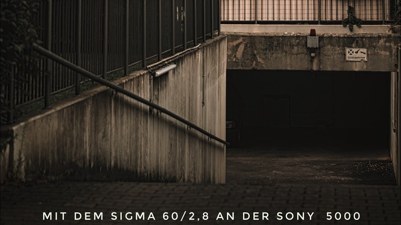mit dem 60mm von Sigma