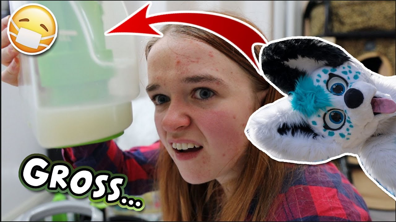 Cleaning my 6 year old fursuit headbase | Little Green Carpet Cleaner fursuit  tutorial~ Clean Beans