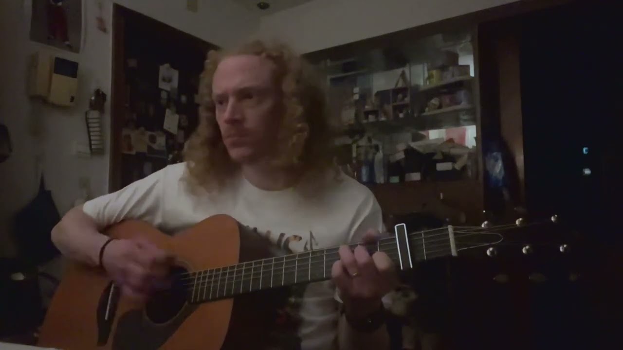 The Needle and the Damage Done | Neil Young (cover)