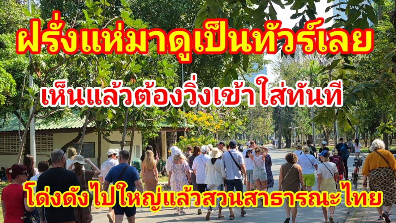 ฝรั่งแห่มาดูเป็นทัวร์เลยเห็นแล้วต้องวิ่งเข้าใส่ทันที!! โด่งดังไปกันใหญ่แล้วสวนสาธารณะเมืองไทย#ไทย 