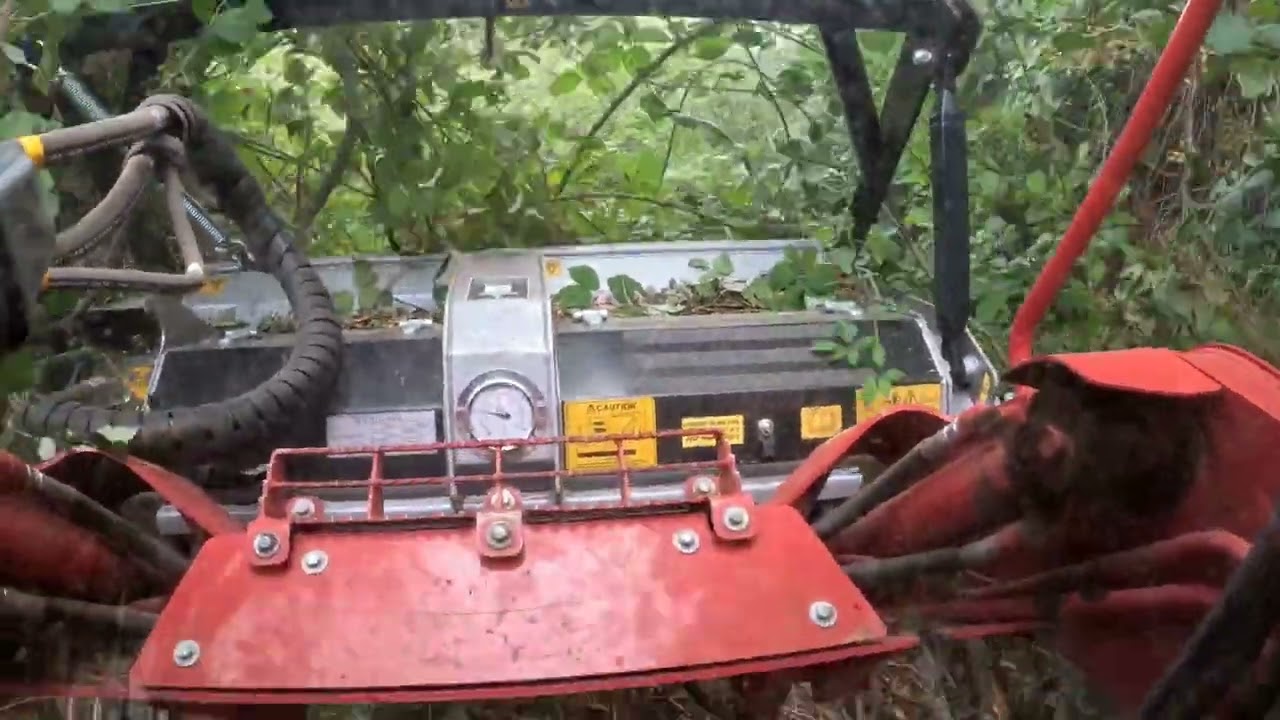 Making trails with the FAE.   #oregon #landclearing #faeusa #logging #pnw #skidsteer #mulching