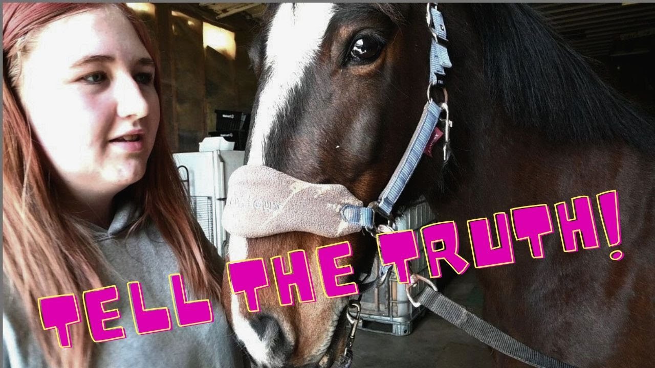 WHAT  Happened To Your HORSE Sophie?