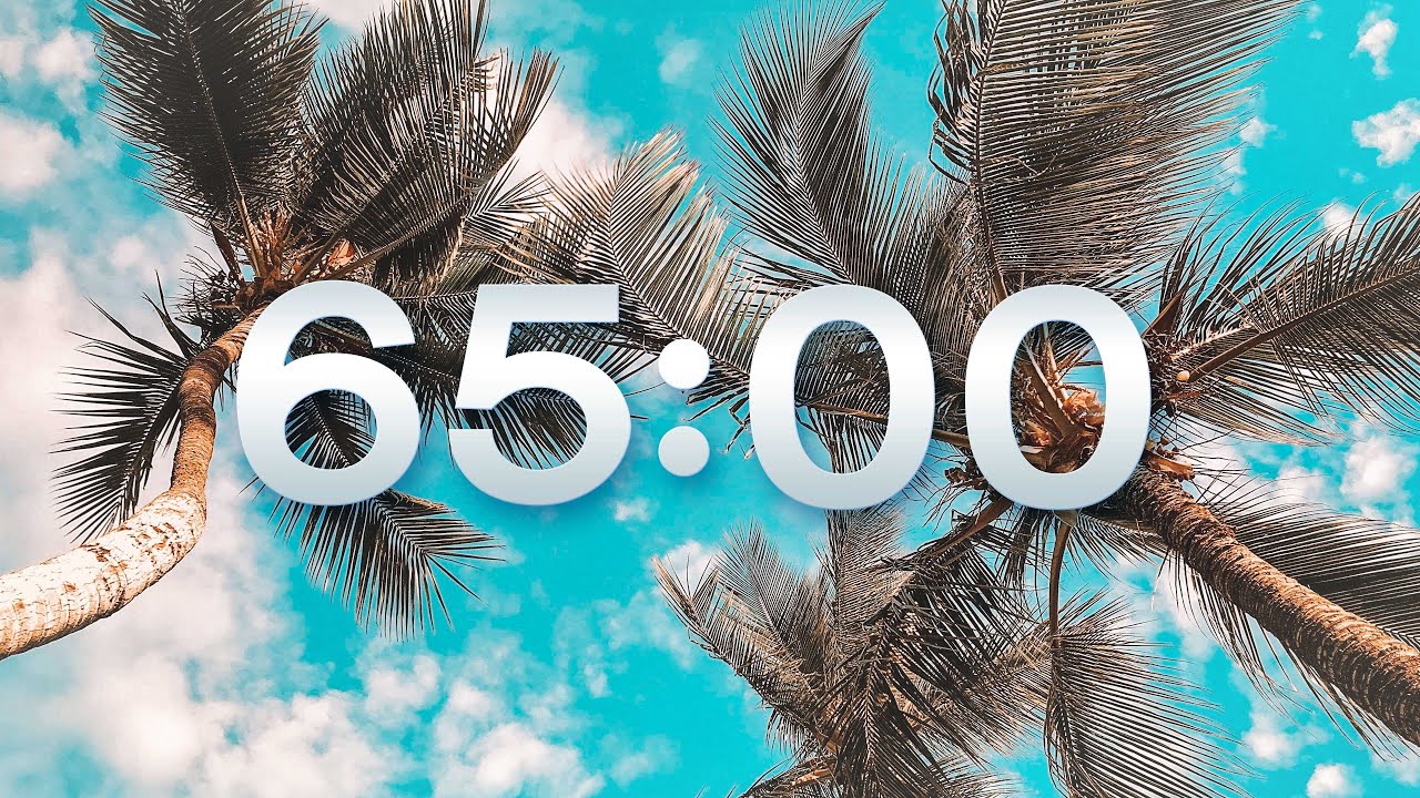SUMMER 65 MIN TIMER