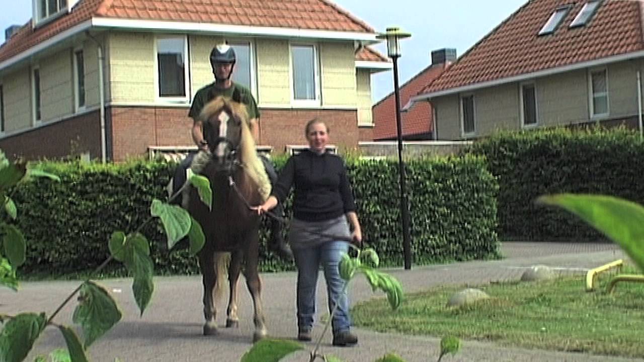 's Heeren Loo Boldershof