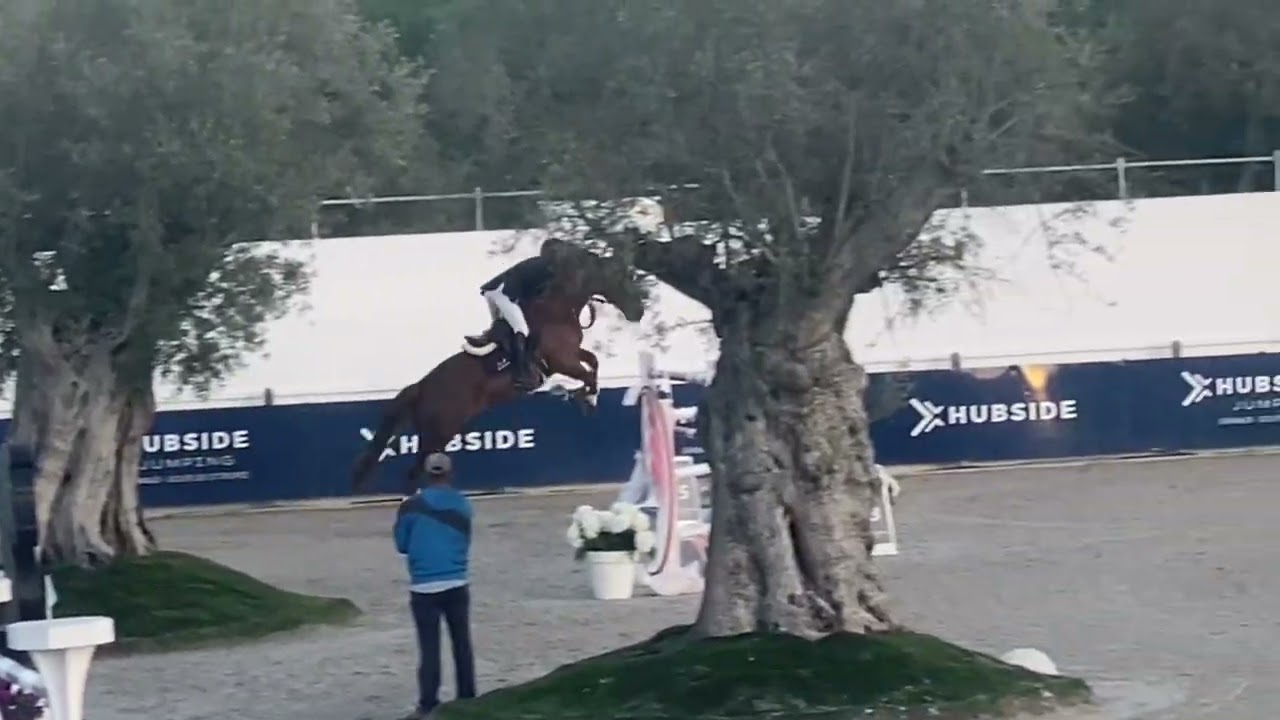 Demerald rz placed in the 1.50 m csi 3 ** hubside Saint-Tropez 🏖️😎🏖️😎🏖️