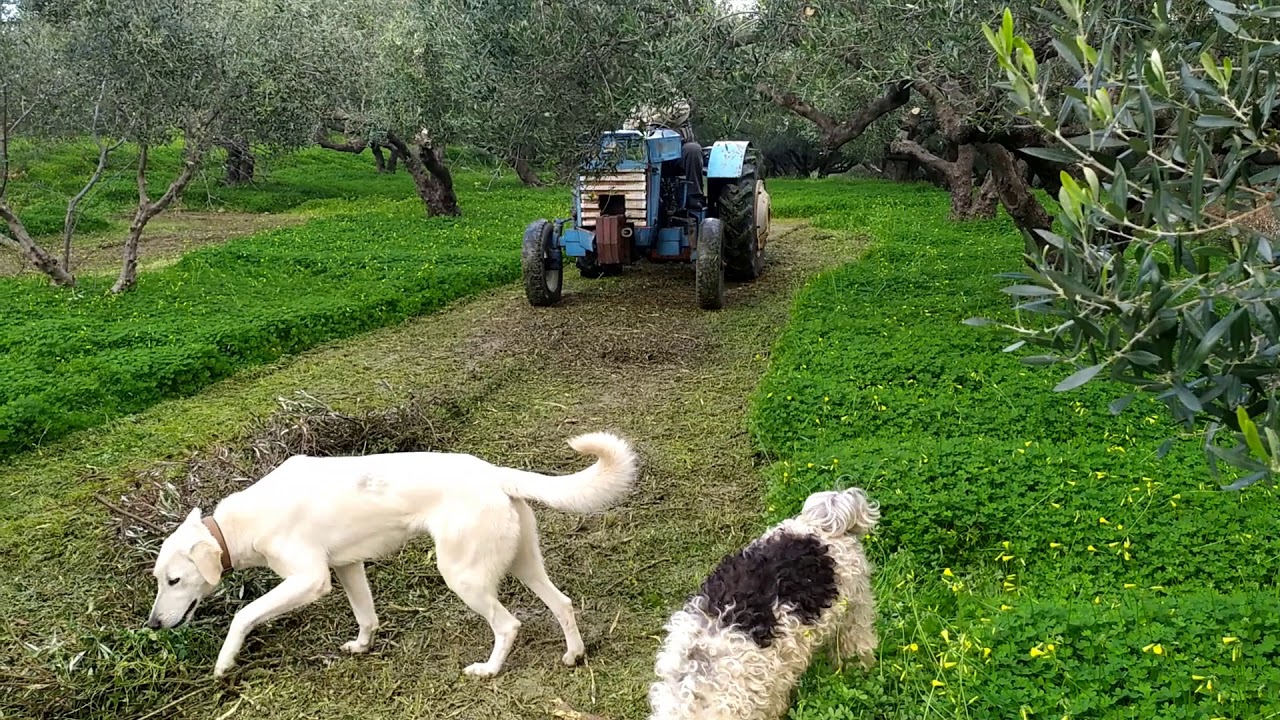 Tractor Shanghai SH50 Καταστροφέας Αστράς σε Shanghai 50 ίππους