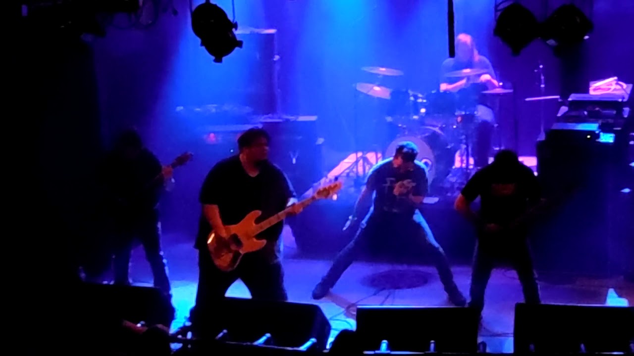 Professor Emeritus - Rats in the Walls (Live at Reggie's Rock Club)