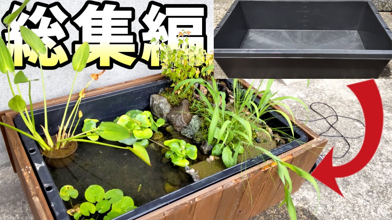 【総集編】初心者が作る！陸地のある和風ビオトープ