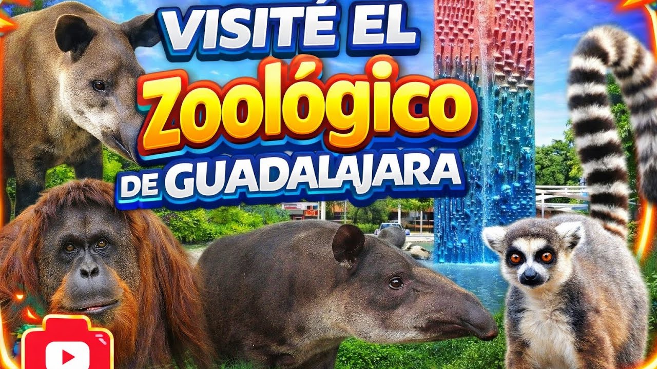 Visite el ZOOLÓGICO de GUADALAJARA// será tan bueno como dicen? 