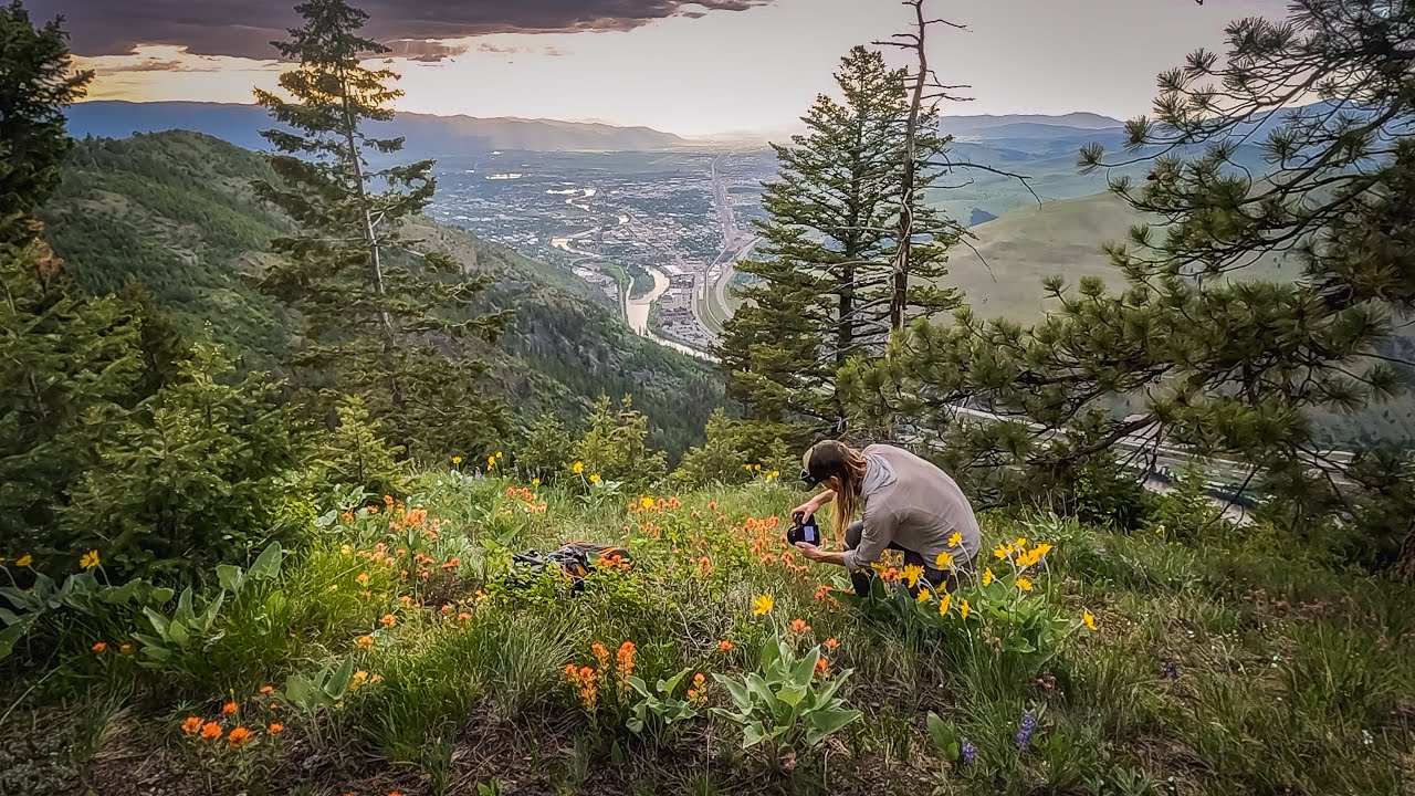 Wildflower Diaries | S2:E3 - Into the Heights