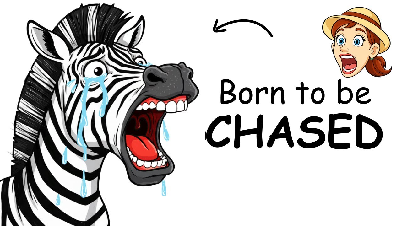 Why It Sucks To Be A Zebra. Everyone Wants to Eat You