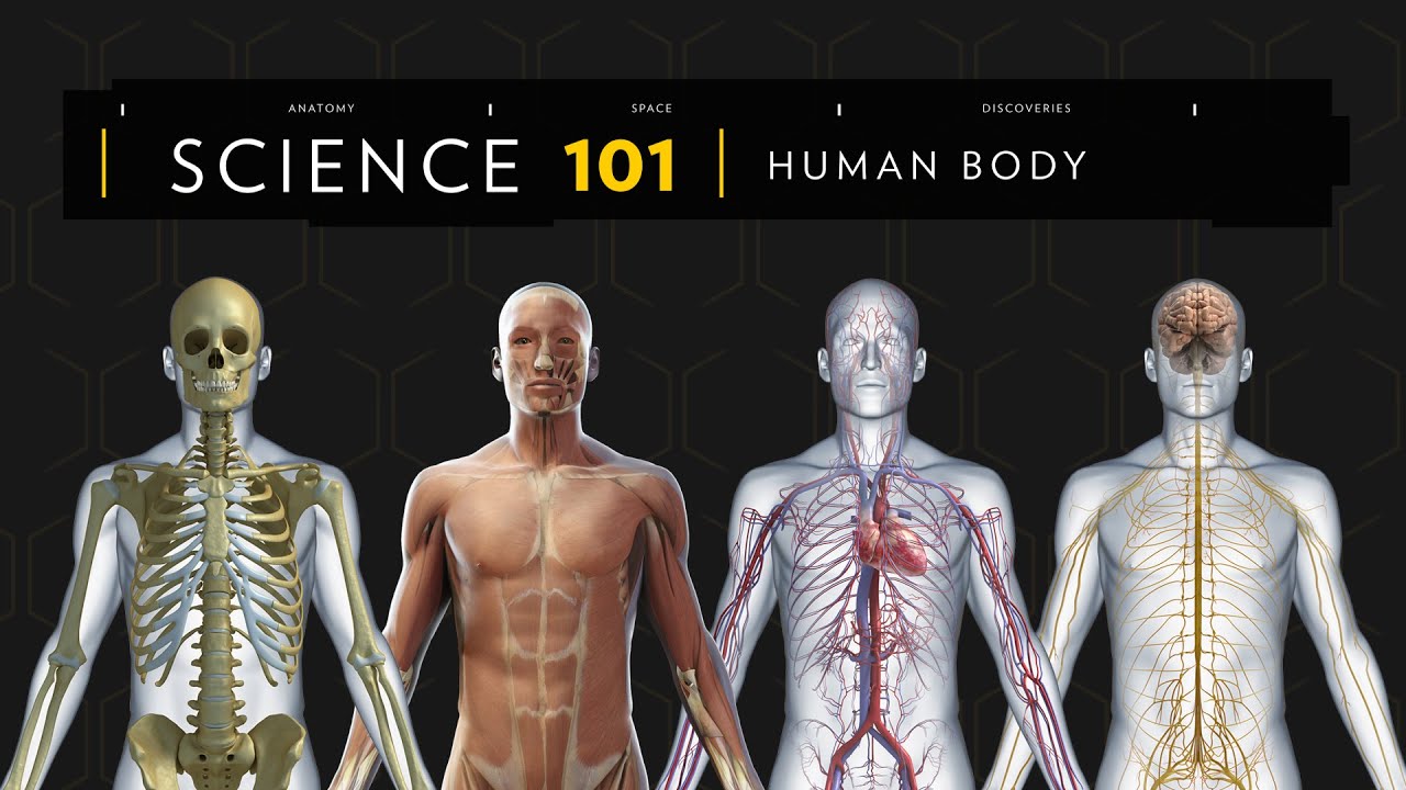 101科學教室：人體解密《國家地理》雜誌