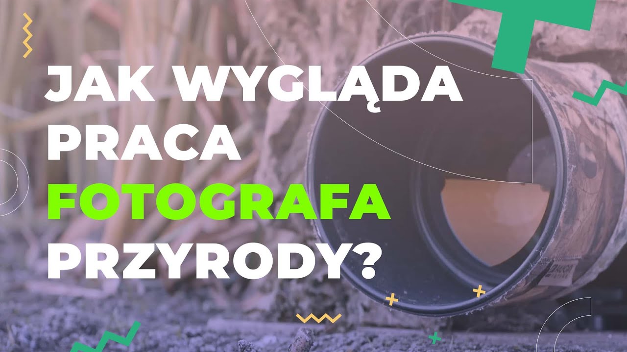 Jak wygląda praca fotografa przyrody?