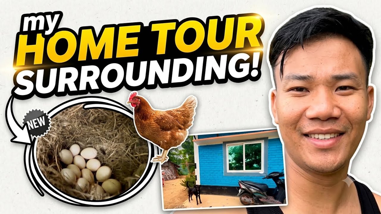 🏠 My home tour // surrounding tour 