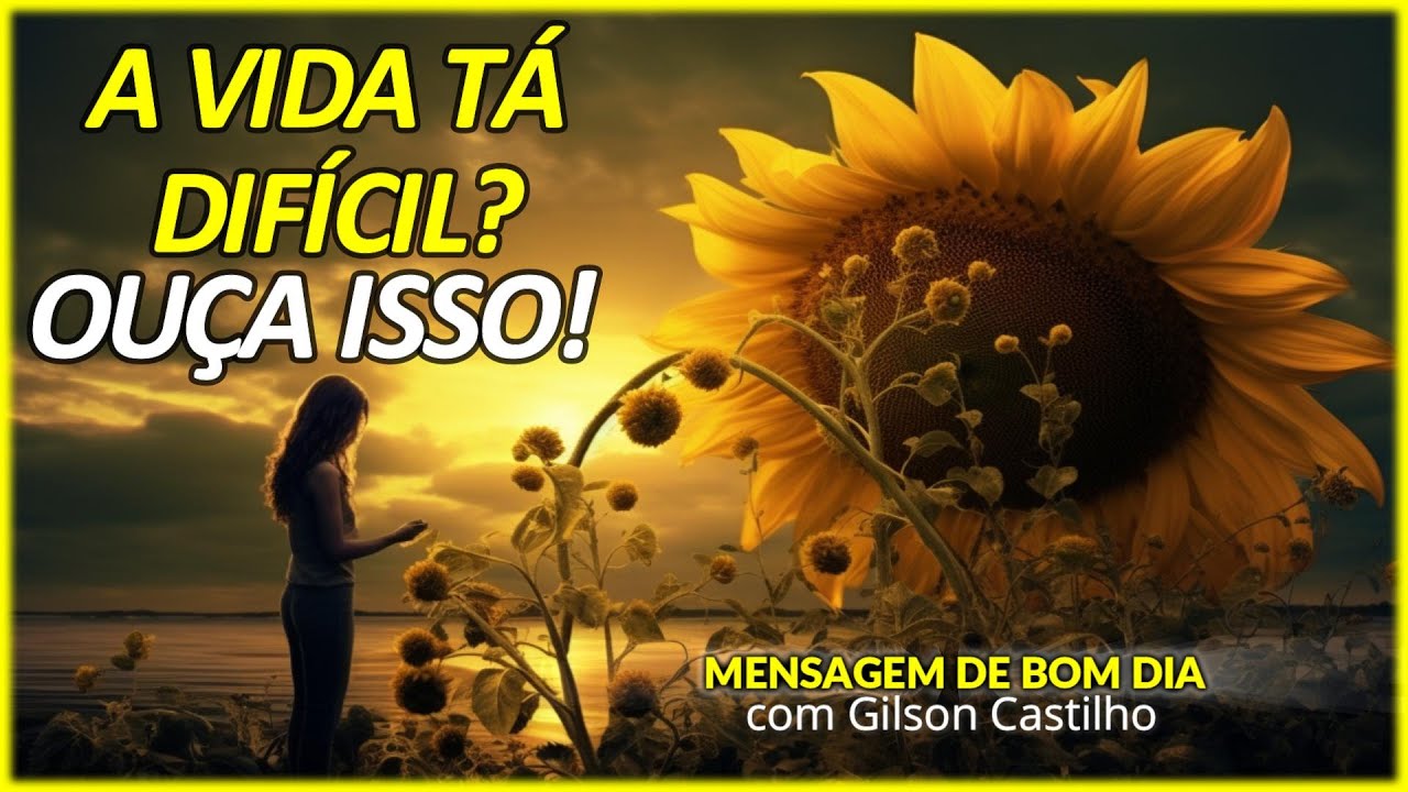 Porque a vida &eacute; t&atilde;o dif&iacute;cil? Bom dia - Mensagem de Reflex&atilde;o