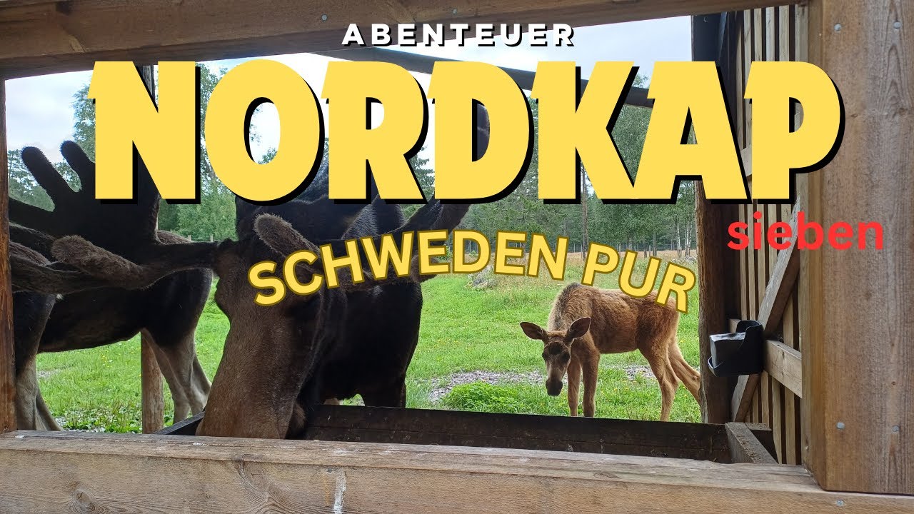 Nordkap mit dem Wohnmobil (7) - Schweden ein unglaubliches Land