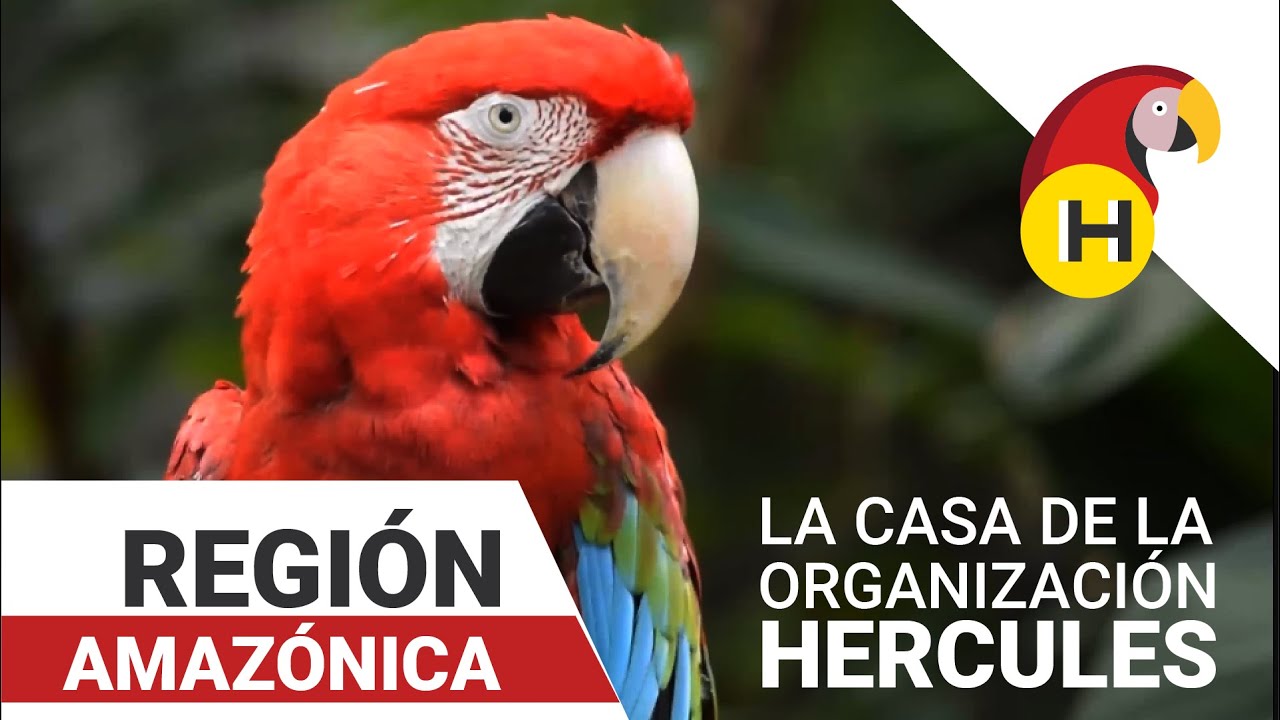 Región Amazónica