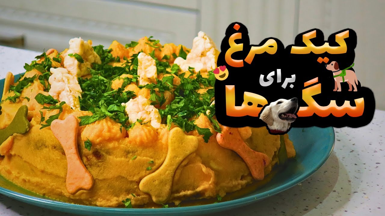 طرز تهیه کیک تولد برای سگ بدون شکر | برای سگ هاتون کیک تولد درست کنید