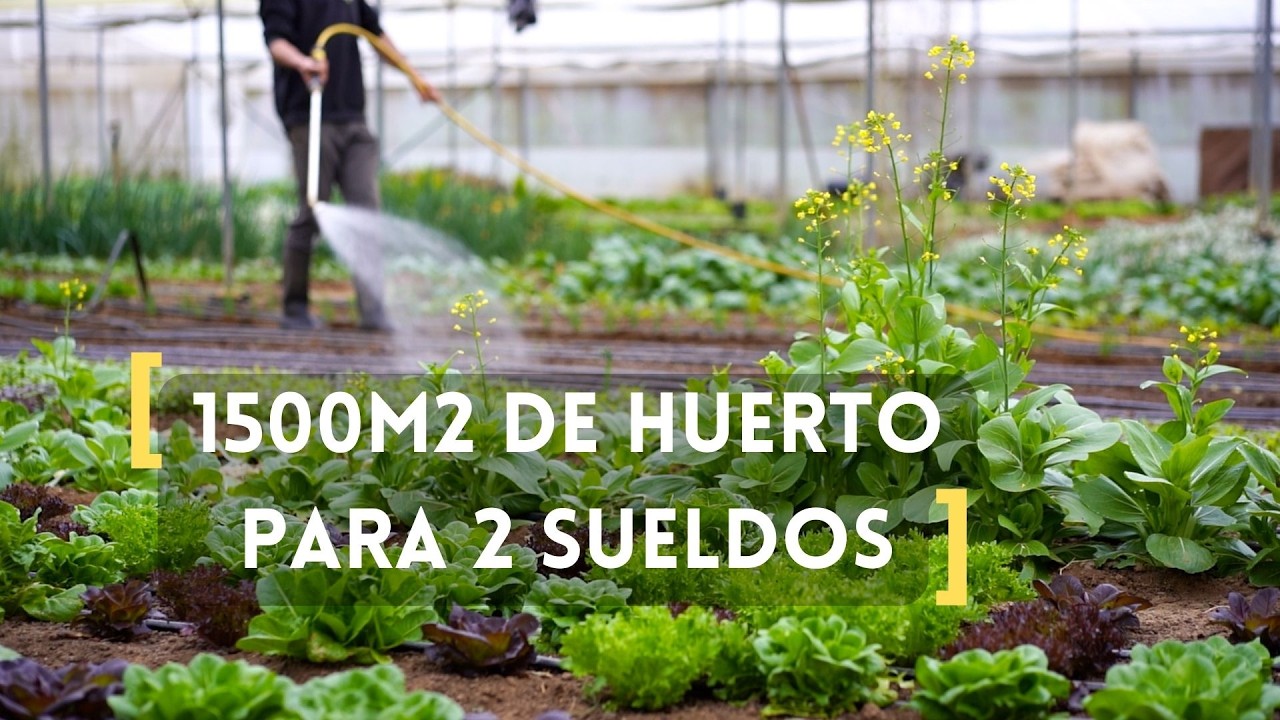 Vivir de Cultivar: de Lunes a Viernes (Resultados Reales)