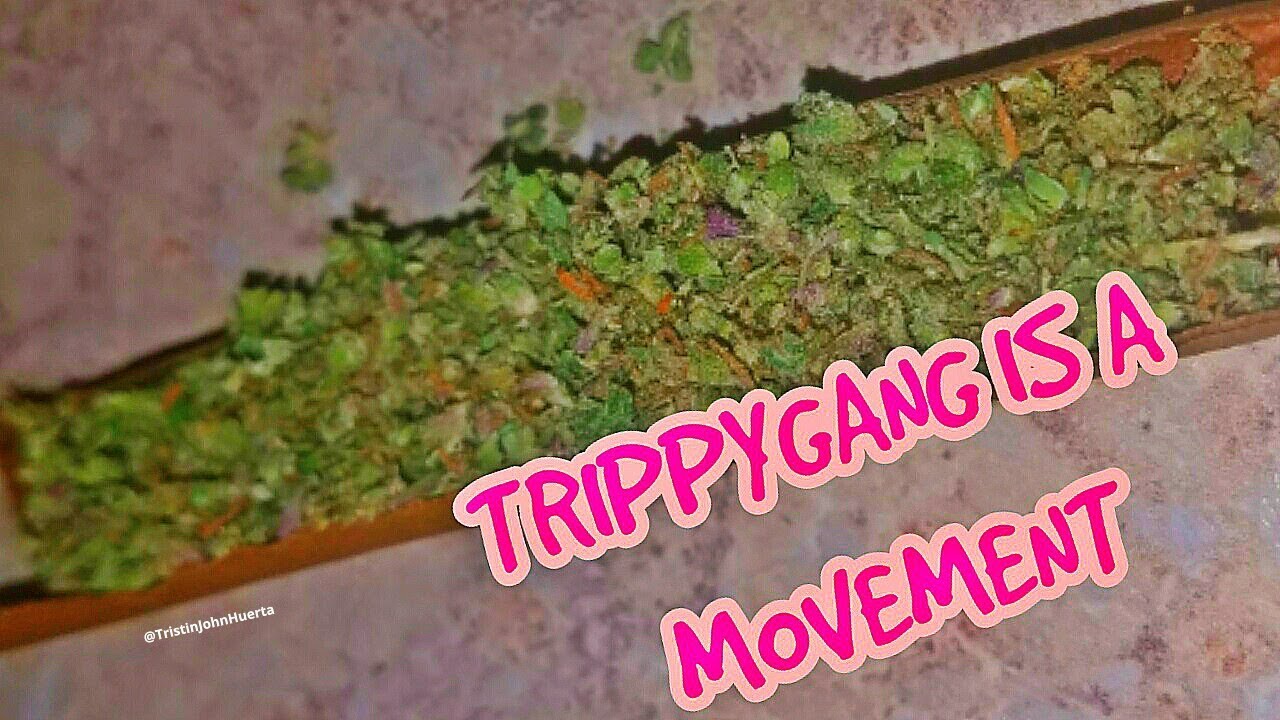 TRIPPYGANG IS A MOVEMENT - WE GLOBAL S6 EP4