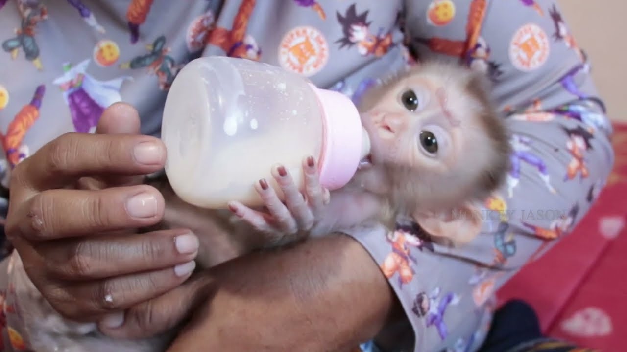 Jason Get Cuddle Feeding Big Bottle Milk after Wake Up