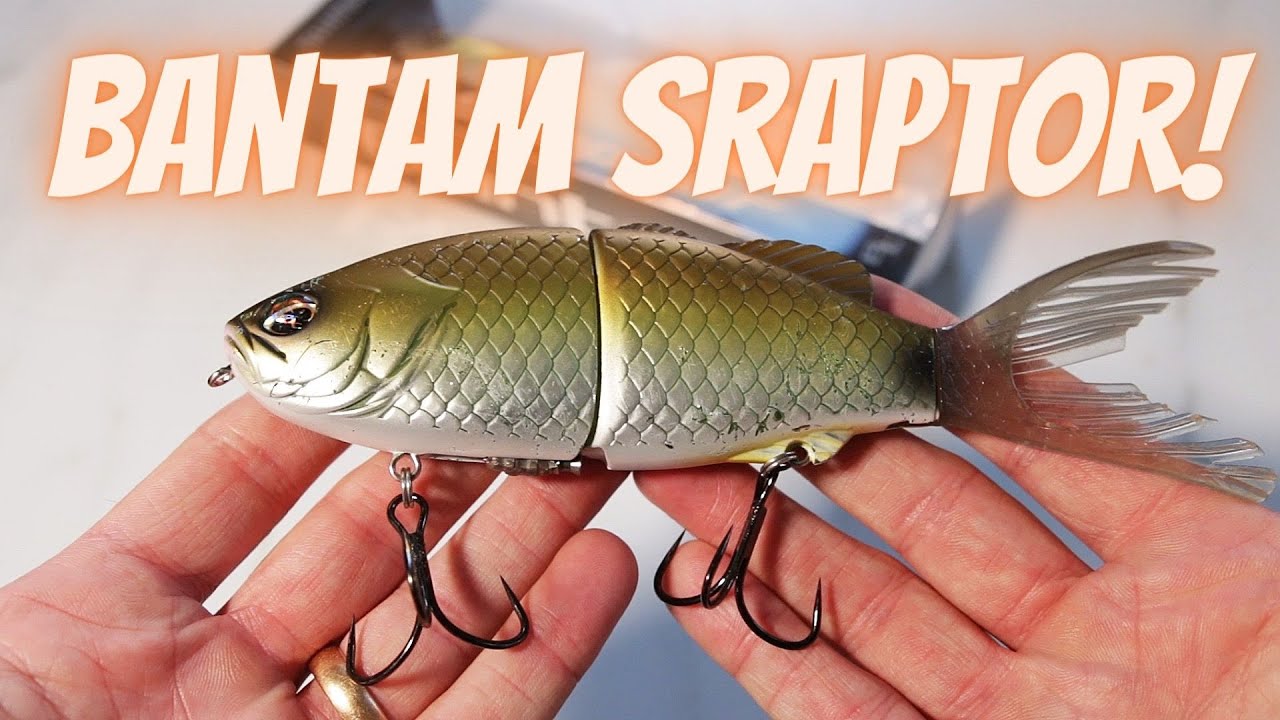 Testing the Bantam Sraptor from Shimano (pikefishing) Subtitles
