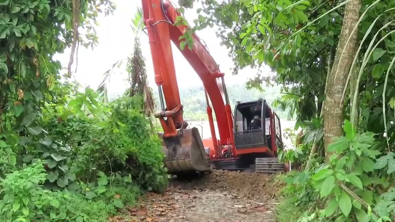 hutan keruk beko alat berat keruk excavator